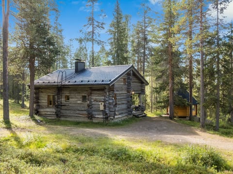 Ukkohermanni