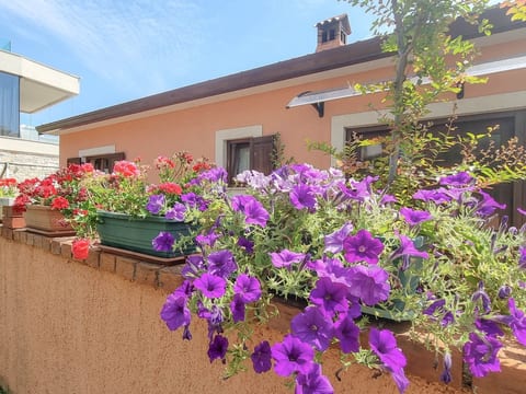 Studio für 2 Personen ca. 25 m² in Novigrad, Adriaküste Kroatien (Westküst