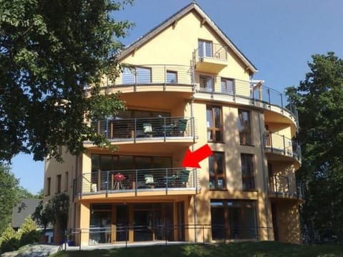 Nr. 6