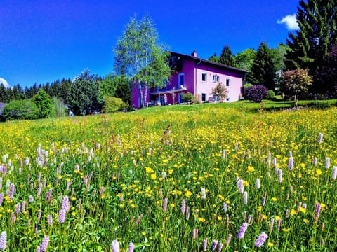 mit Bergblick