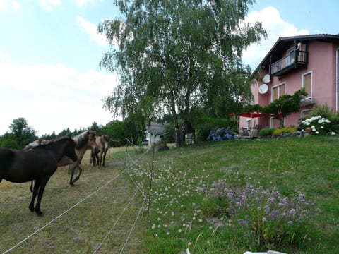 mit Bergblick