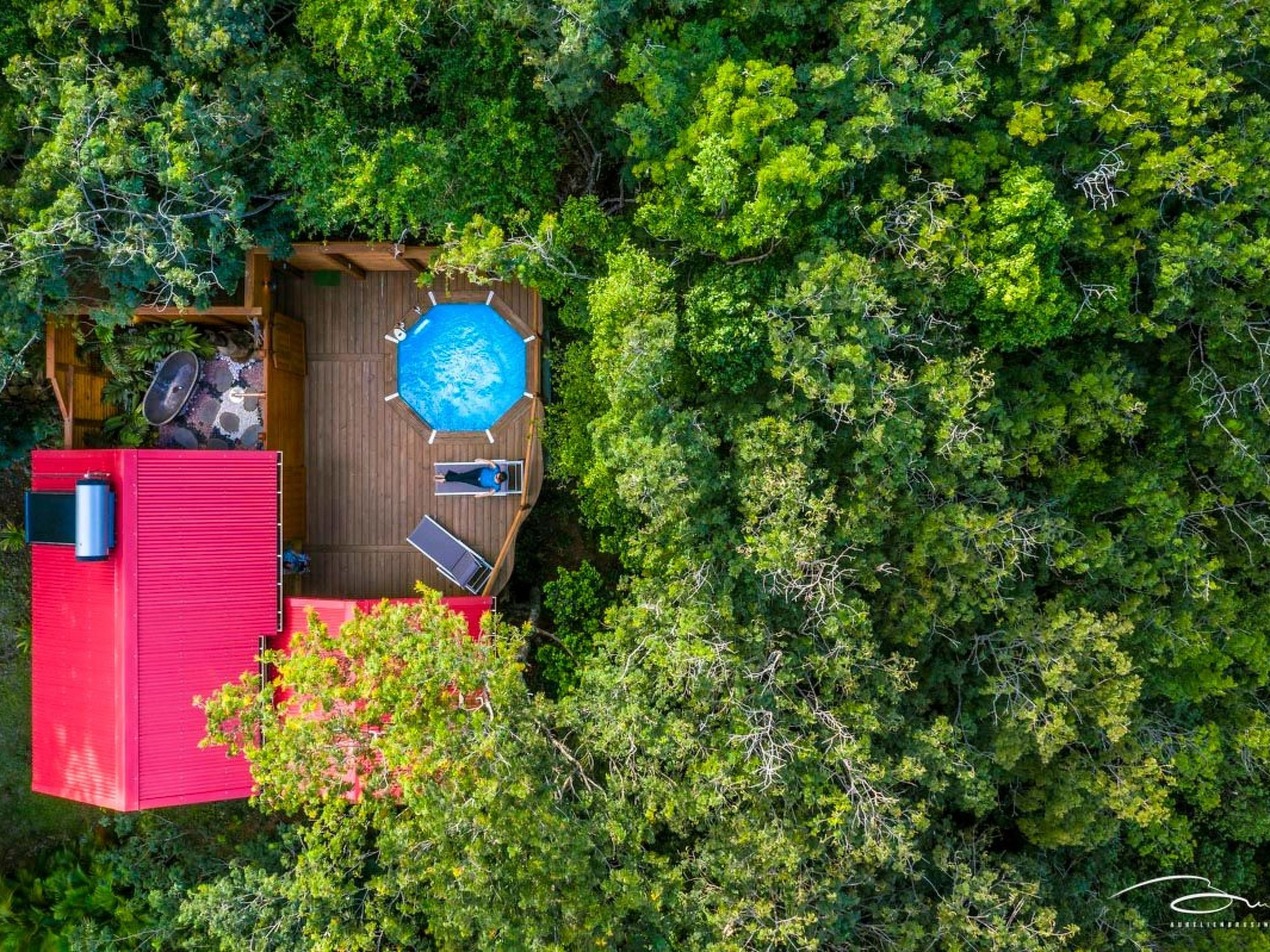 Jungle Lodge Privater Swimmingpool