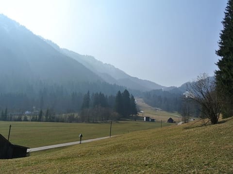 Baumberger