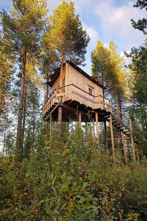 Aurora Lodge