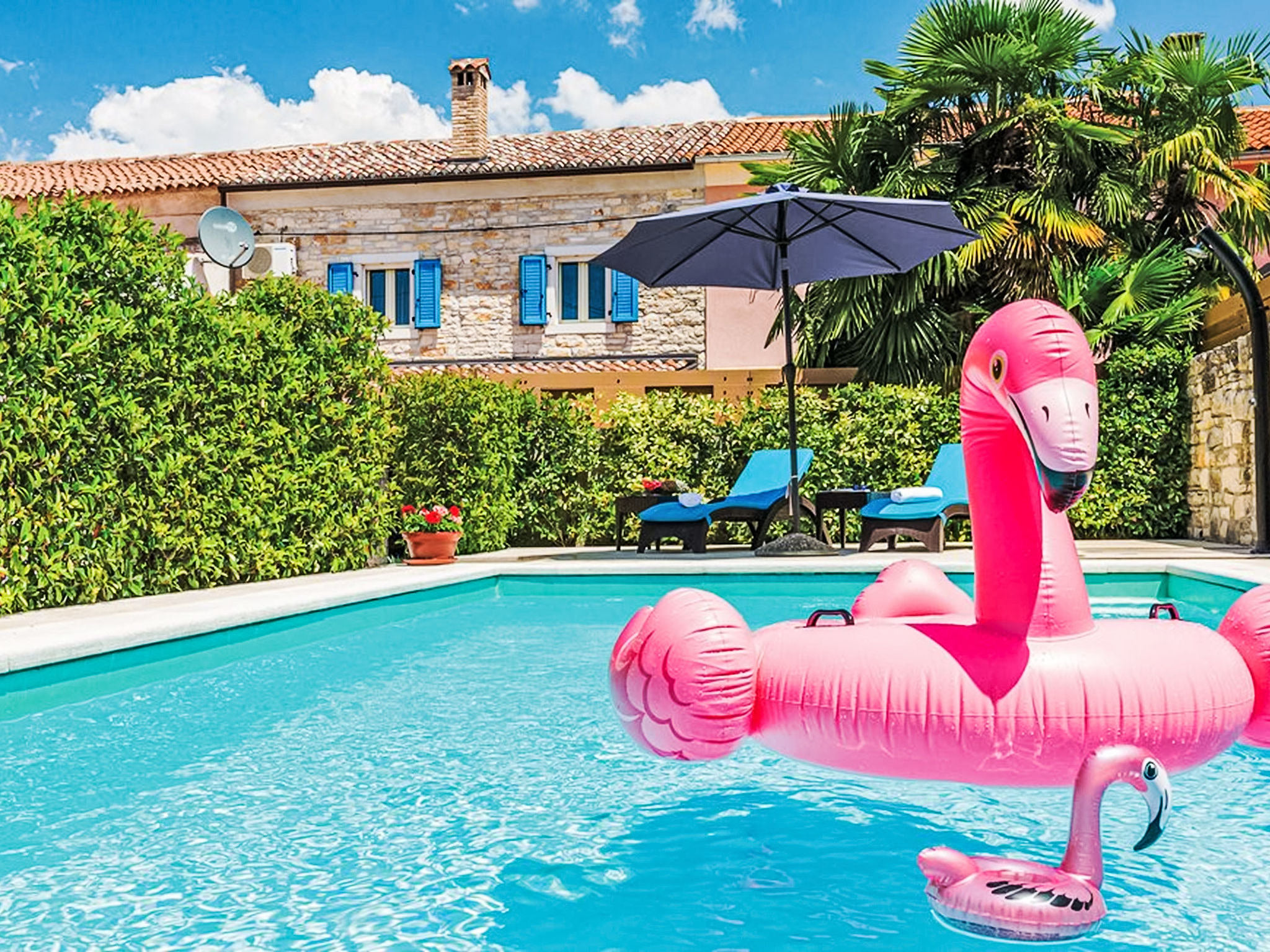 Pool Outdoor