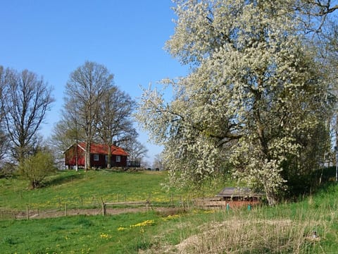 Ekkulle
