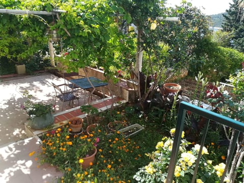 für 3 Personen ca. 30 m² in Dubrovnik, Dalmatien (Dubrovnik-Neretva)