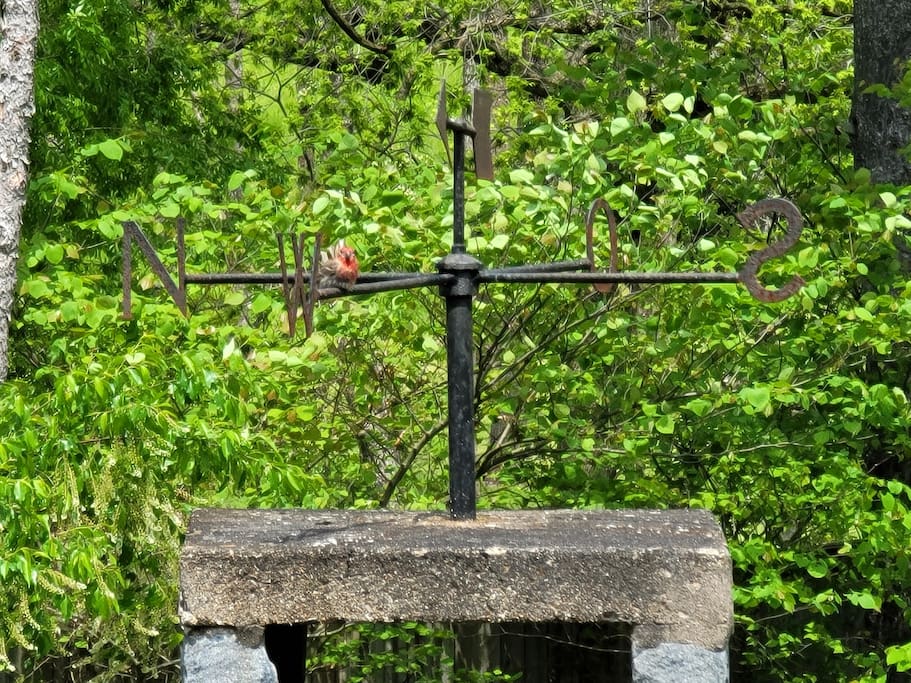 Premier APT wellness nature reserve SwanSanctuary - Birdsboro Premier APT wellness nature reserve SwanSanctuary - Birdsboro