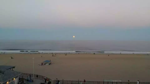 Surf View