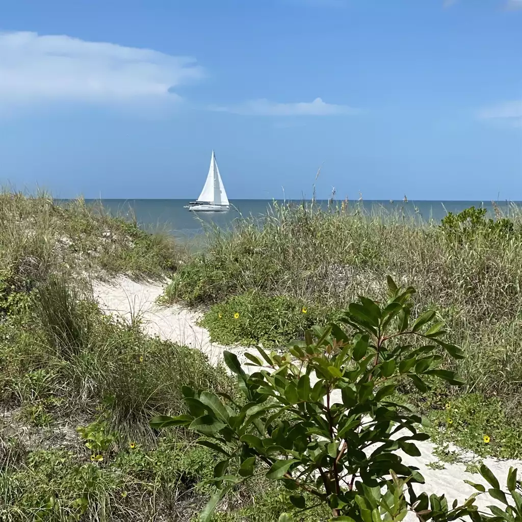 Blue Heron Cottage #1 - Indian Rocks Beach