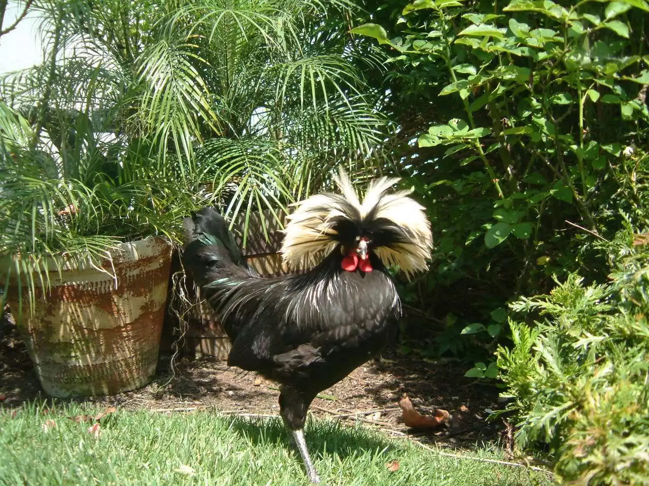 safari-tent-cabin-with-hottub-and-air-conditioning/