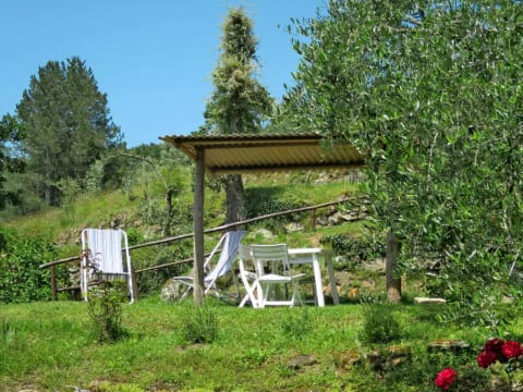 Belvedere