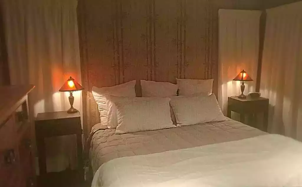 Room two, queen fold out  or lounge - Berry'd Treasures guest suite - Katikati