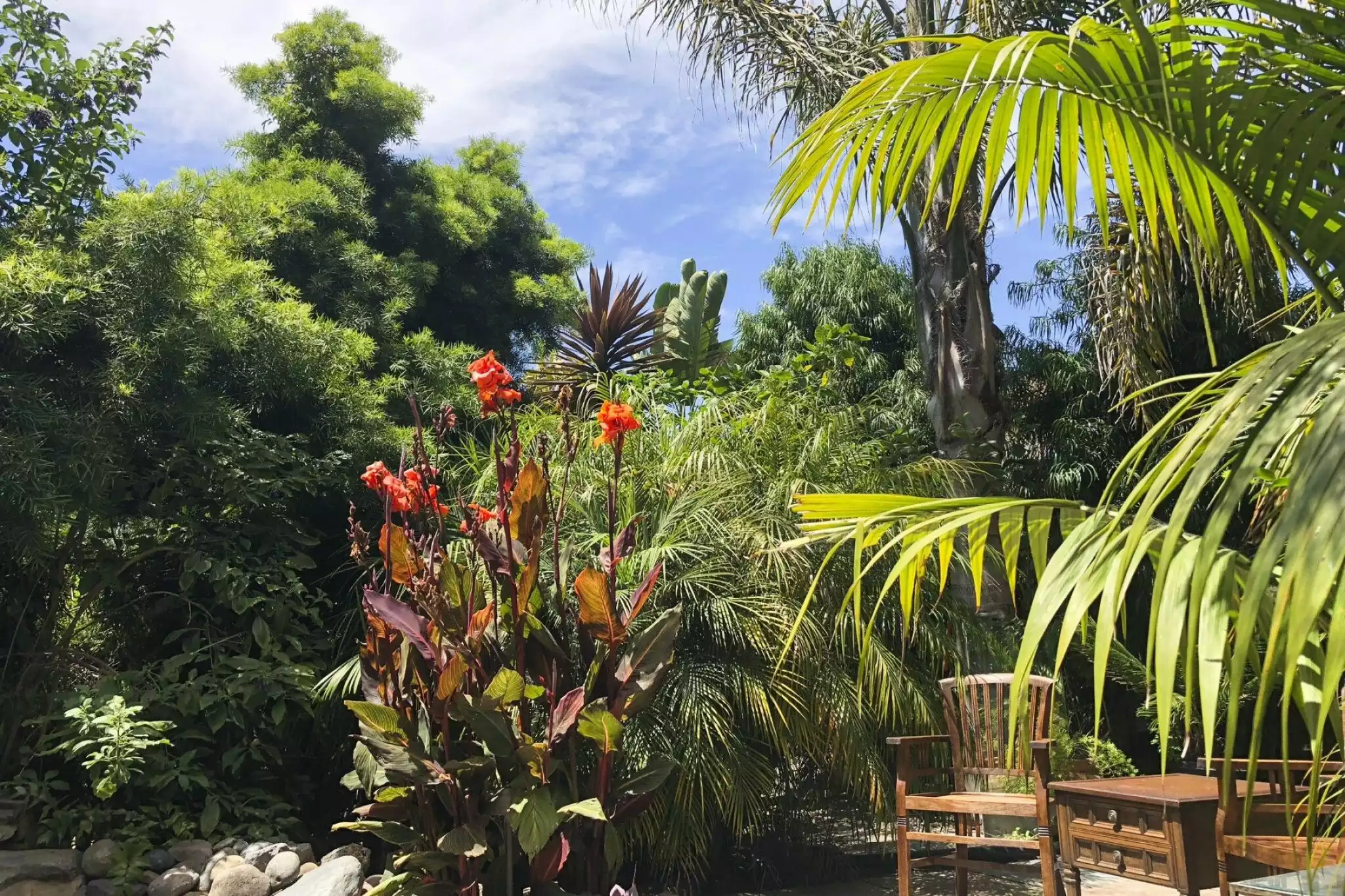 Lush greenery surrounds the koi fish pond - perfect for relaxation. - California Craftsman — Urban Oasis - Emeryville