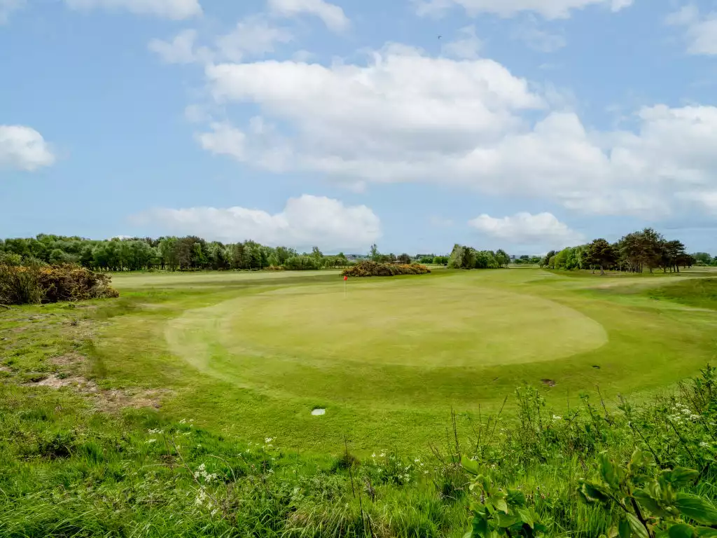 Golf View