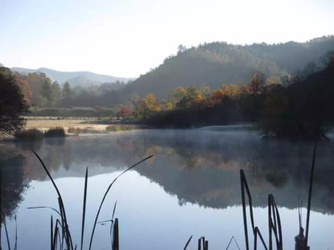 Peace. Nature. Tranquility. Find your serenity...
