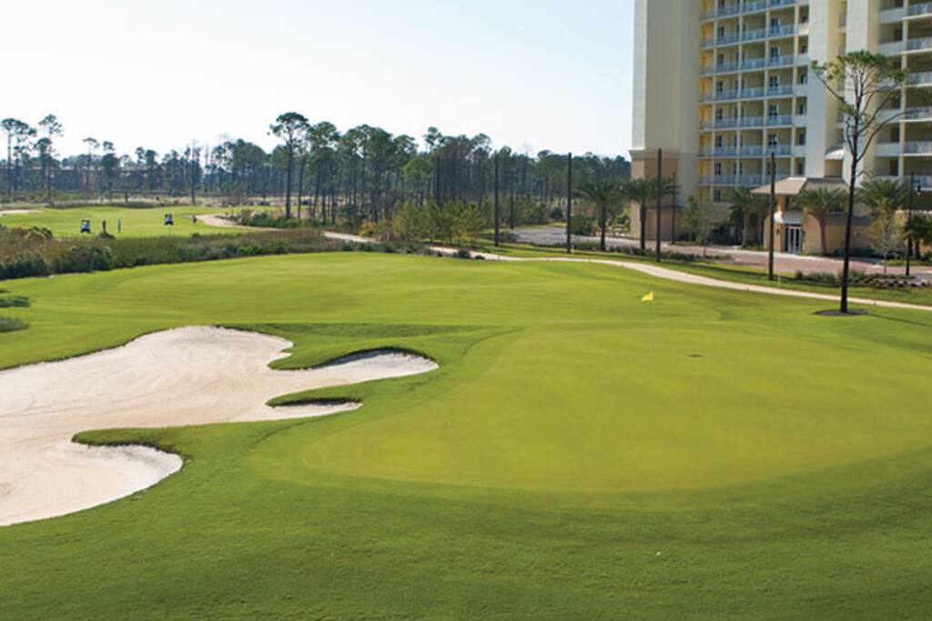 Play a round of golf on our Arnold Palmer golf course! Play a round of golf on our Arnold Palmer golf course! - Paradise Found! - Perdido Key