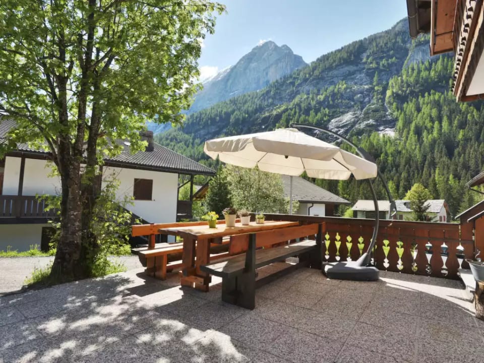 Cesa Micheluzzi (CZI712) - Trentino