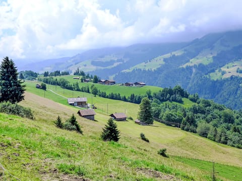 Place