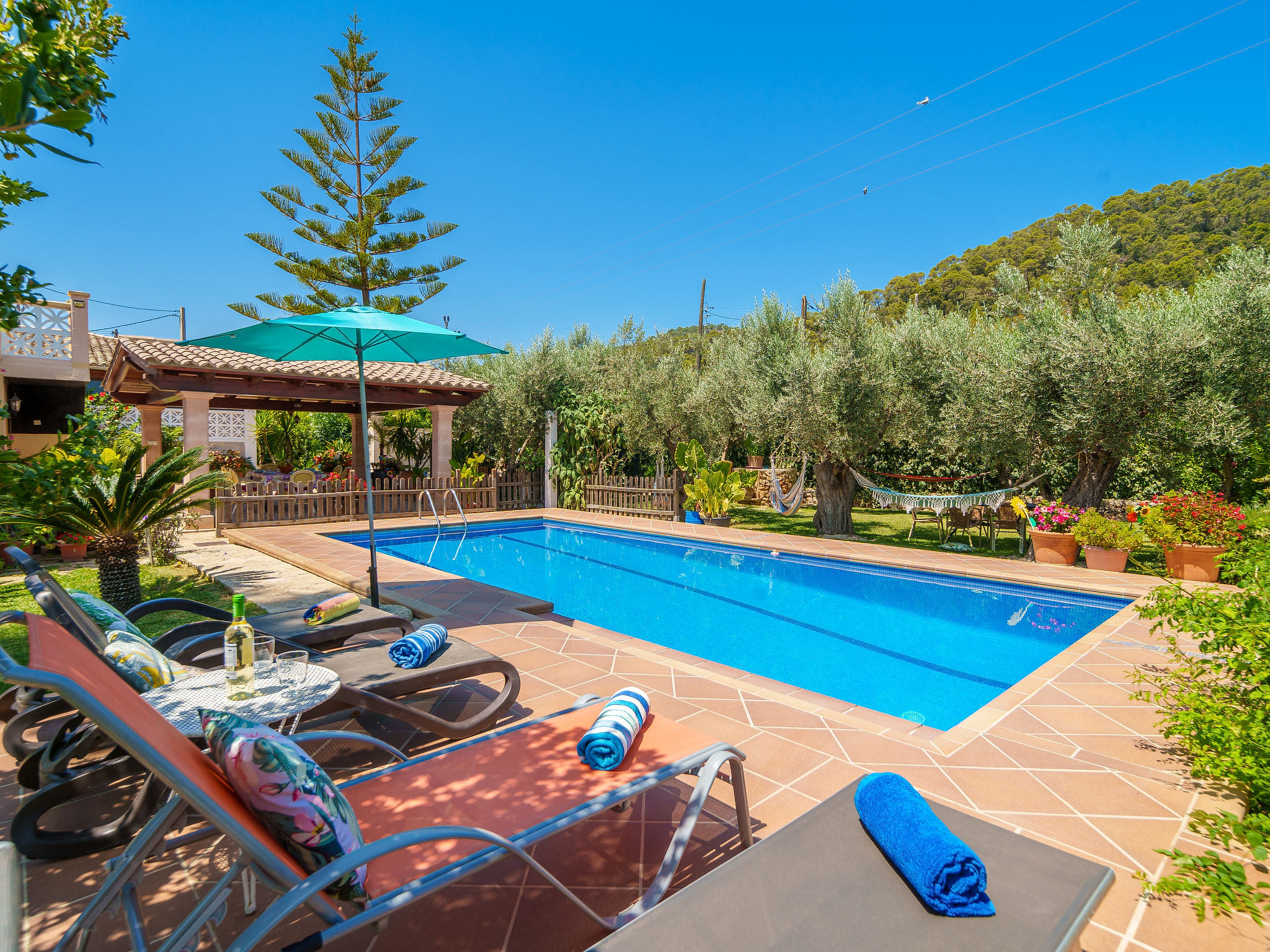 Pool Outdoor