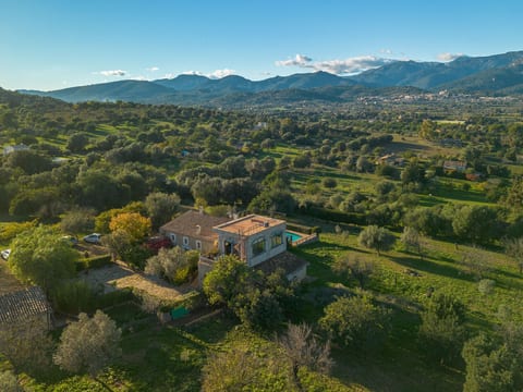 Aerial photography