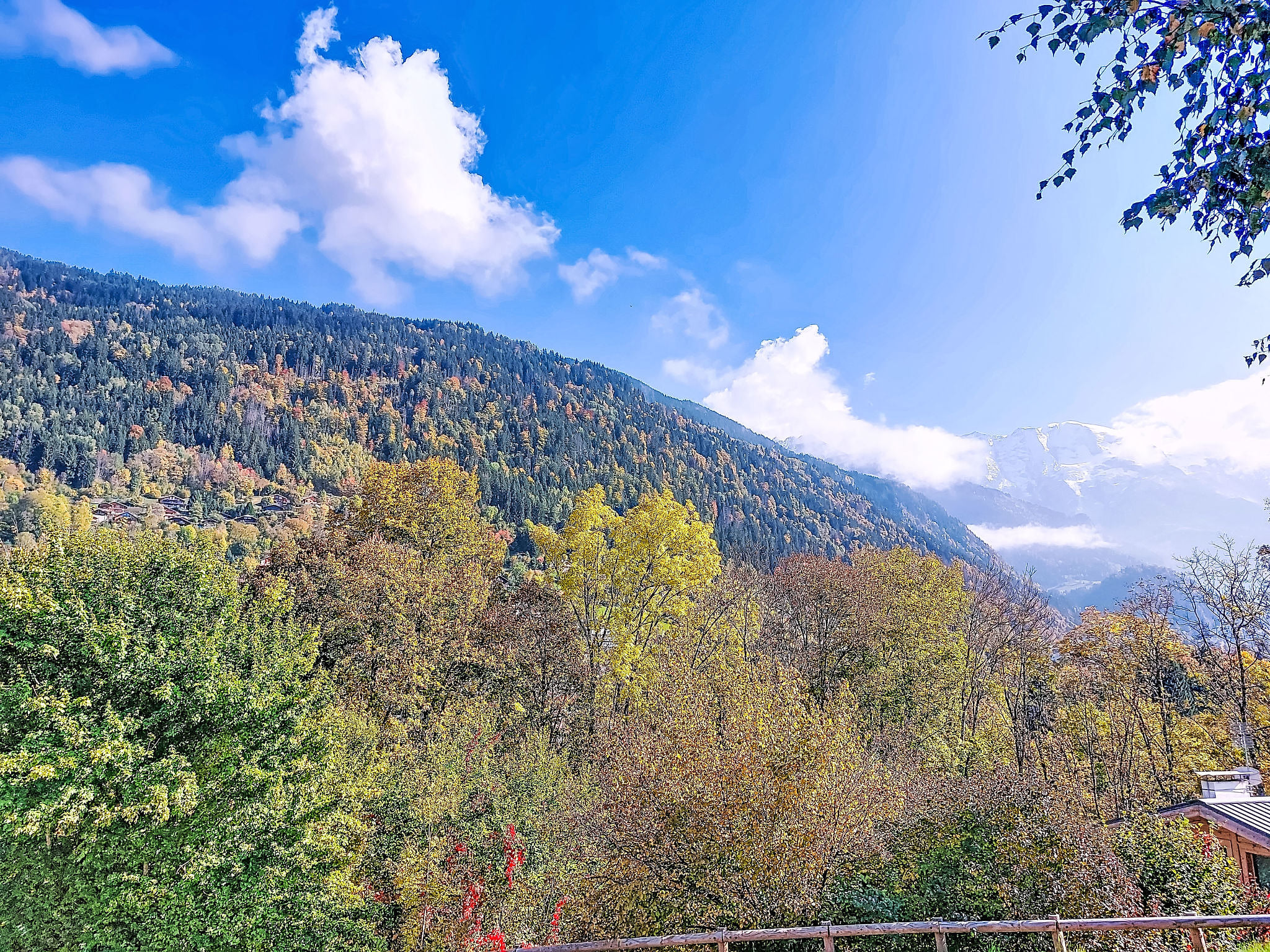 View