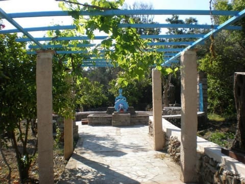 Spiti Limnos, idyllisch gelegen im Orangenhain