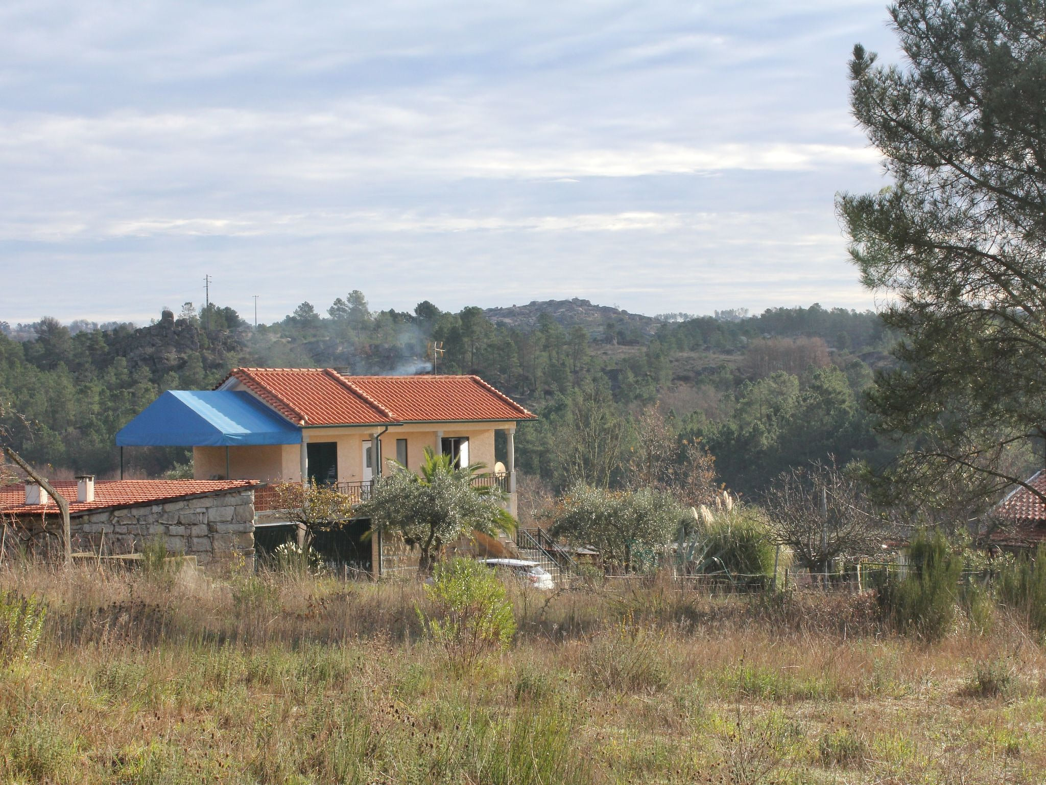 Ferien auf dem Bauernhof mit Weinberg