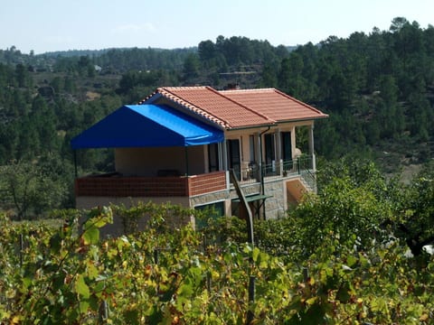 Ferien auf dem Bauernhof mit Weinberg