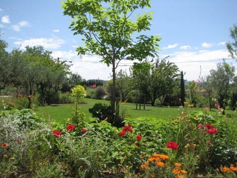 Mas de la damisello