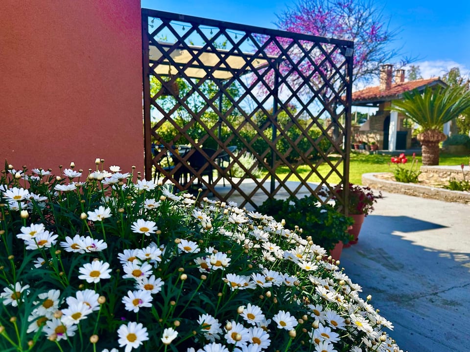 Cottage sulla spiaggia - Peloponnese Region