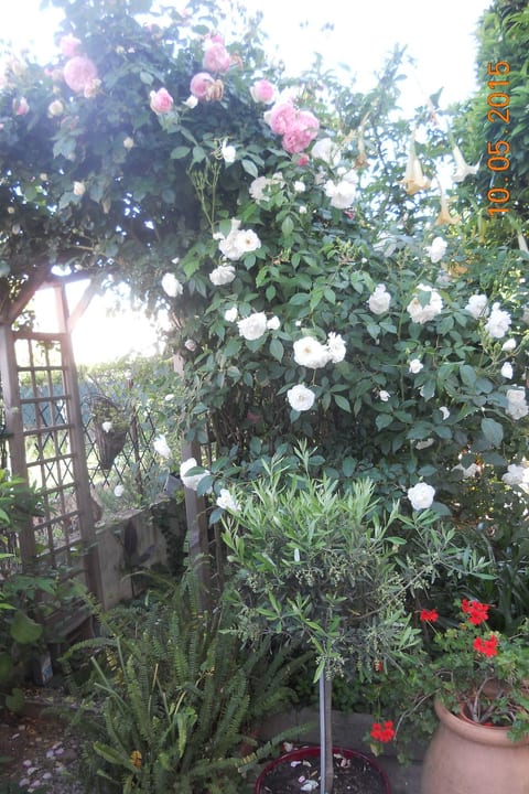 Wohnung "Les roses" auf einem eingemauerten Grundstück