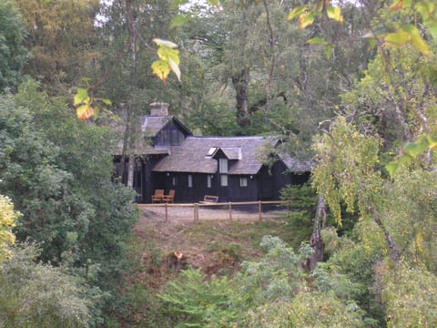 Outdoor