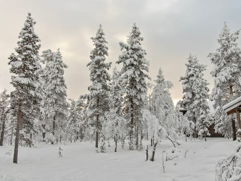 Ressipysäkki 1