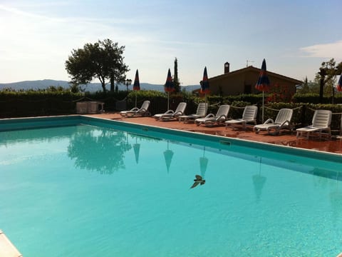 "Pieve pomaia Trilo5