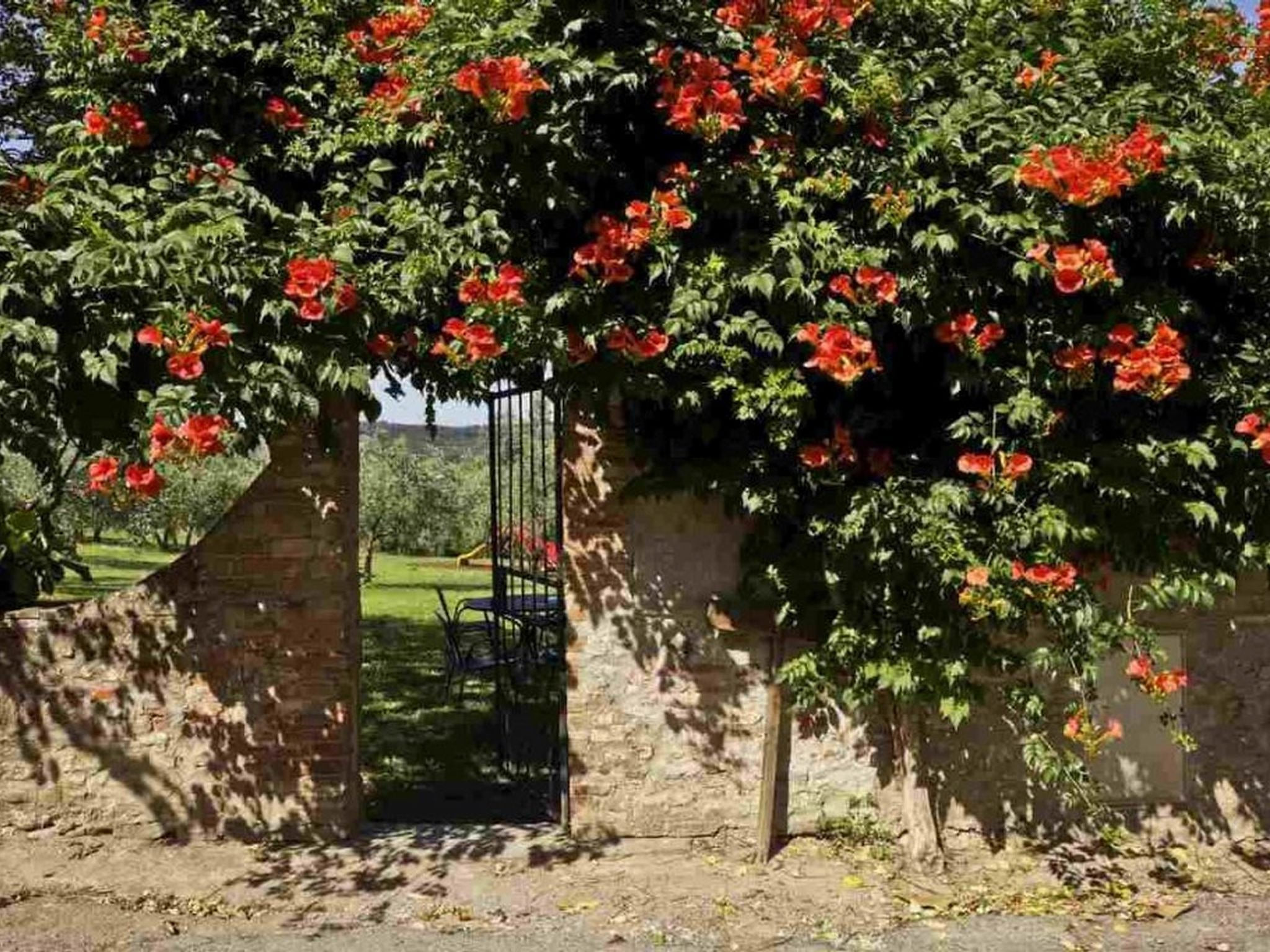 Olivo Capponi' Wohnung mit Gemeinschaftspool