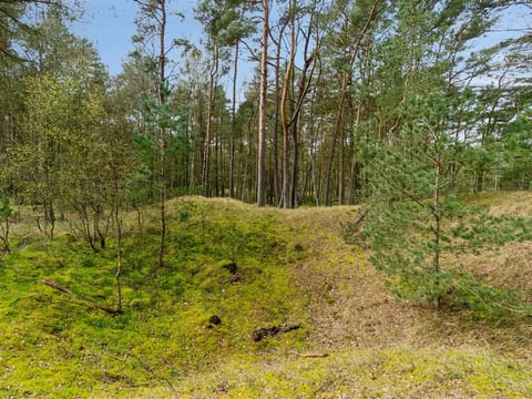 Place