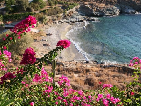 Luxuriöse, ruhige Wohnung direkt am Meer - Privatstrand