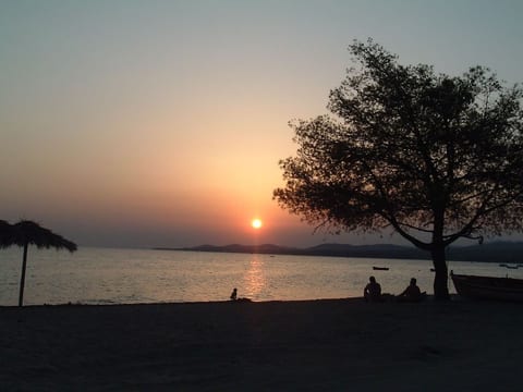 Finikas Garden Nikit
