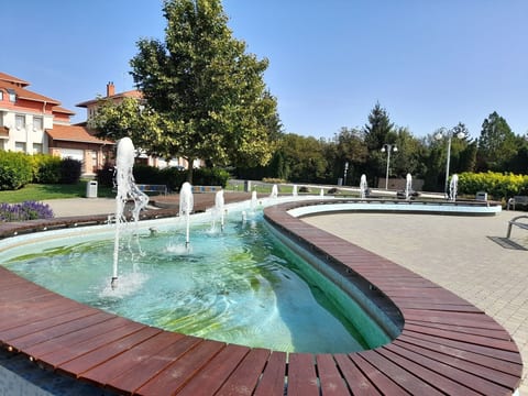 Vicky's House