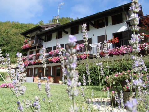 Duck's Cottage für einen Dolomitenurlaub