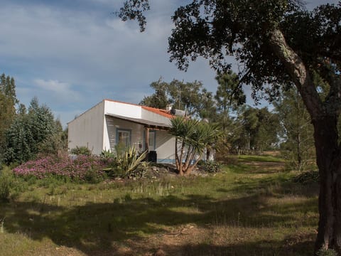 Monte Horizonte Casa Oliveira Öko und Natur