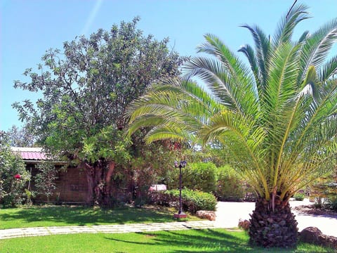 Maison de vacances "Quinta Casalinho"