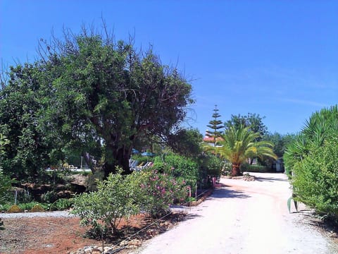Maison de vacances "Quinta Casalinho"
