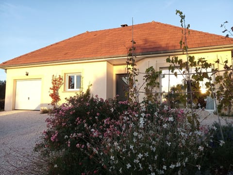 an der Weinstraße von Burgund