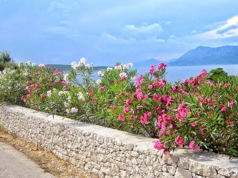 Apartments Villa Gracin