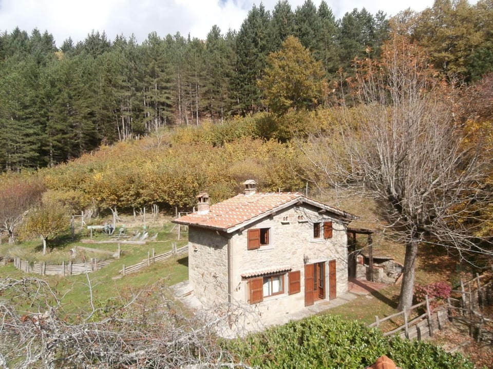 Apartamento con parrilla, piscina compartida y jardín - Capolona