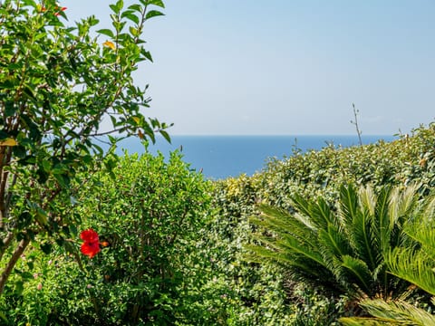 Villa Conchiglia