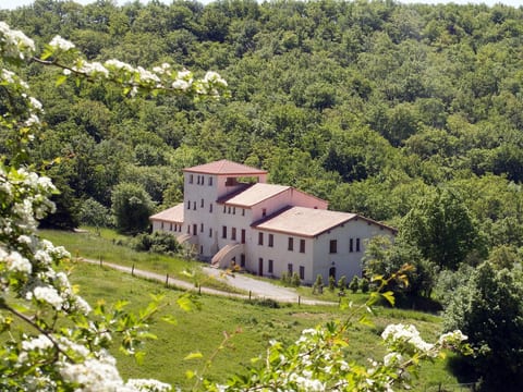 Sehr großes Ferienhaus inmitten der Natur