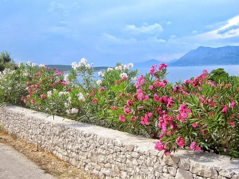 Apartments Villa Gracin